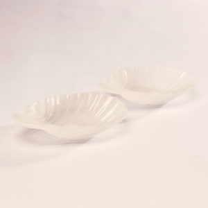 les coquilles blanche